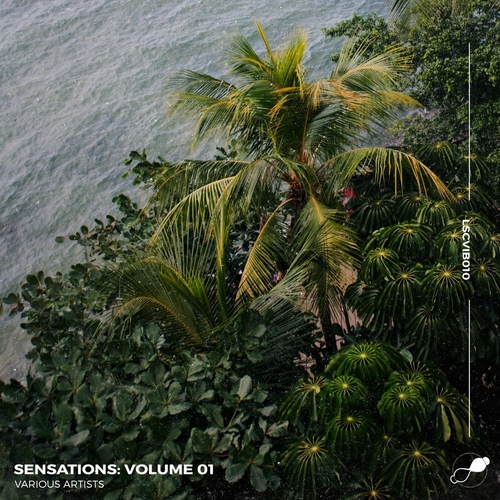 VA - Sensations, Vol. 01 [LSCVIB010]